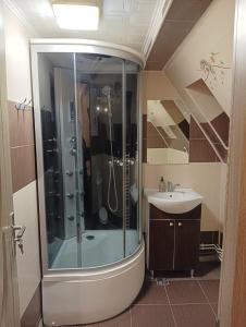 a bathroom with a shower and a sink at Pensiunea IULIA in Rod