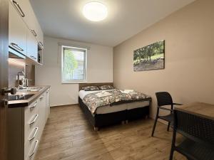a small bedroom with a bed and a kitchen at Na Zeleném statku in Rašovice