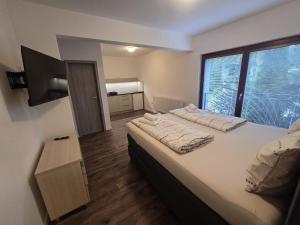 a bedroom with a large bed and a large window at Penzión Trio in Trnkov