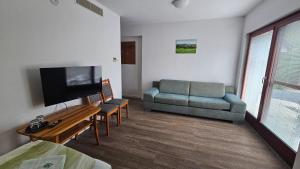 a living room with a couch and a tv at Penzión Trio in Trnkov