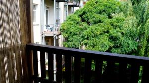 a balcony with a tree in front of a building at Apartment 24 modern & gemütlich in Dessau