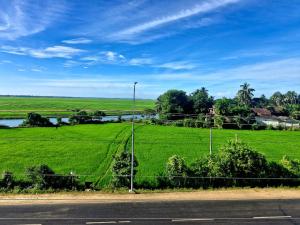 a field of green grass with a street light at Town Tulip in Karativu