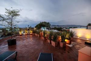 a row of potted plants on a rooftop at 7 Casa Laurel Hotel Boutique in Oaxaca City