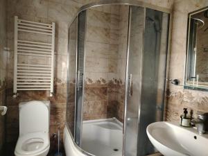a bathroom with a shower and a toilet and a sink at Дом мичти in Tsalka