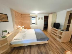 a bedroom with a large bed and a television at Apartmaji Zupančič in Bohinj