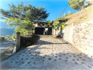a road with a stone wall and trees on the side at FerG in Lligua