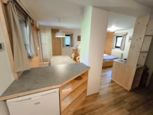 a kitchen with a counter top in a room at Apartmaji Zupančič in Bohinj