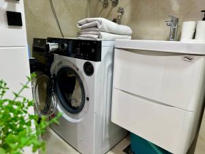 a washing machine and a sink in a bathroom at Alula Apartments 2 in Bar