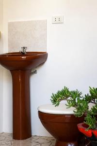 ein Badezimmer mit Toilette, Waschbecken und Pflanze in der Unterkunft Looking Samaipata in Samaipata