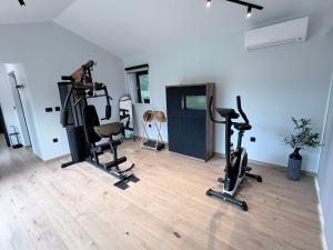 a gym with treadmills and exercise bikes in a room at House Avena with spa & gym in Labin