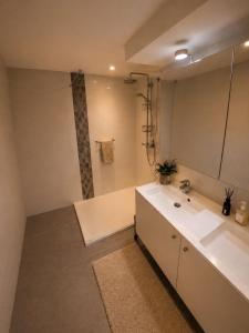 a bathroom with a white sink and a shower at L'Appart de Grand-Père in Oudenburg +2 photos