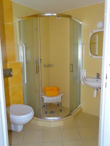a bathroom with a shower and a toilet and a sink at Orwsnoch in Mielno