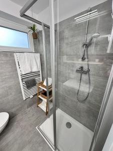 a bathroom with a shower and a toilet at Grimming Lodge Tauplitz II in Tauplitz +21 photos