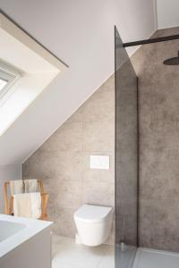 a bathroom with a toilet and a sink at Vakantiewoning Conterdijk 13 in Koksijde +13 photos