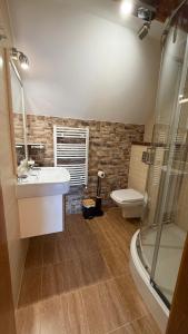 a bathroom with a sink and a toilet and a shower at Agroturystyka Folwark Natura in Wleń +30 photos