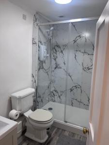 a bathroom with a toilet and a glass shower at Historic High St Flat with Peaceful Garden Retreat in Stony Stratford +8 photos