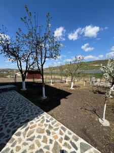 Gallery image of FamALSANAT in Cîmpeneşti