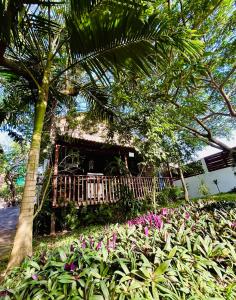 a house with a porch and a bunch of flowers at Stella Maris Cabanas in Ponta do Ouro
