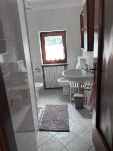a bathroom with a shower and a sink and a toilet at Anza Village - Ds Hüüsji 1 in Vanzone