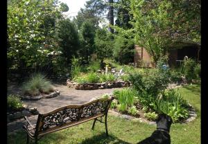 a black dog standing next to a bench in a garden at Gite du Lac Docteur in Saint-Honoré +19 photos