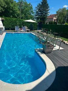 a blue swimming pool with chairs and an umbrella at La dolce vita in Novi Banovci