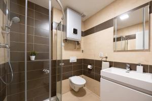 a bathroom with a toilet and a sink and a shower at Apartmány Stožec - Nella Premium in Stožec +18 photos