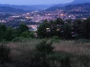 a view of a city from a hill at night at Sobe Andjela in Arilje