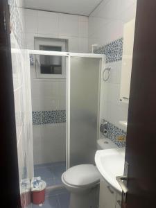 a bathroom with a shower and a toilet and a sink at Sobe Andjela in Arilje