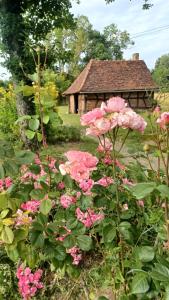 a garden with pink flowers in front of a building at Le Gîte du Vauvril in Saint-Usuge