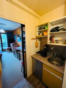 a kitchen with a sink and a counter top at Studio Cosy - Le Grand-Bornand in Le Grand-Bornand