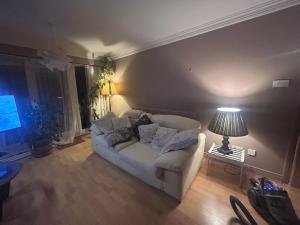 a living room with a white couch and a lamp at Mountain Way in Dublin
