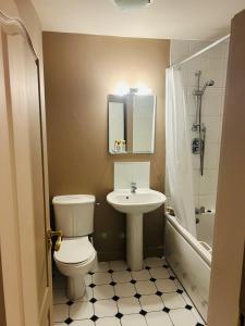 a bathroom with a toilet and a sink and a shower at Mountain Way in Dublin