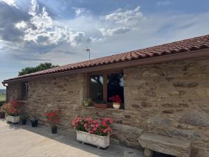 a stone building with potted plants and a window at Casa Estraviz in A Coruña