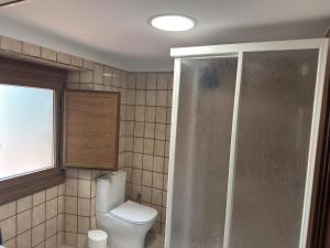 a bathroom with a toilet and a shower at Casa Estraviz in A Coruña