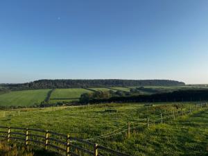 a field of green grass with a fence and animals at The Old Stable Block - Flat 2 in Wadebridge