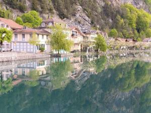 a group of houses next to a body of water at Flowerpot Apartment in Unterseen
