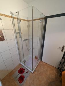 a shower with a glass enclosure in a bathroom at Ferienwohnung Mutter in Twiste