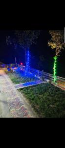 a city street at night with a tree and lights at DREAM LAND cottage in Abbottabad