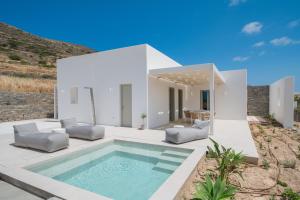 a villa with a swimming pool and a house at Villa Serenity Complex in Kampos Paros