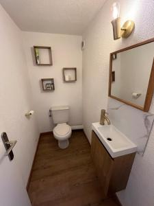 a bathroom with a toilet and a sink and a mirror at Appartement Duplex Mezzanine Station Ski Valberg in Péone +6 photos