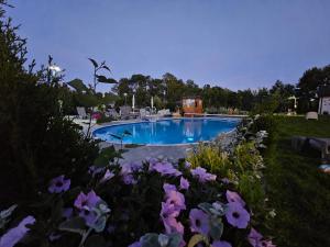 a swimming pool with purple flowers in a yard at Słoneczna Sarbinówka in Sarbinowo