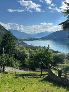 a view of a lake from a hill at Il ciliegio sul lago in Verceia +24 photos