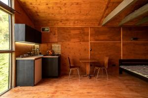 a kitchen with two chairs and a table in a room at Asket Villas in Krivorovnya +1 photo