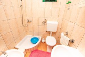 a bathroom with a toilet and a sink at House Punta in Kraj +17 photos