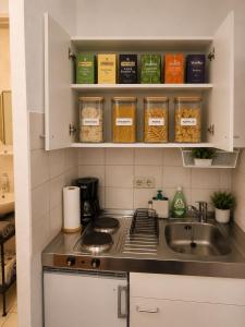 a kitchen with a sink and a counter top at Comfortable Apartment on Elbe River in Dresden +2 photos
