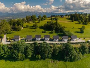an aerial view of a house in a green field at DOMKI NA WIERCHU in Biały Dunajec