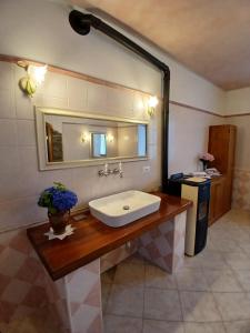 a bathroom with a sink and a mirror at Eva house 1 in Fanano +22 photos