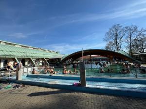 a group of people swimming in a swimming pool at Manna Igal Apartman in Igal