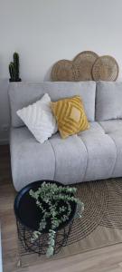 a living room with a couch and a table with a cactus at L'olivier de Jeanine in Contes