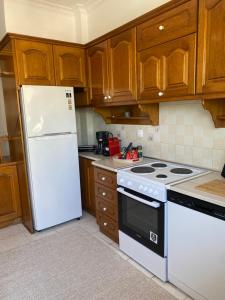 a kitchen with a white refrigerator and wooden cabinets at Evelyn House in Samos +10 photos